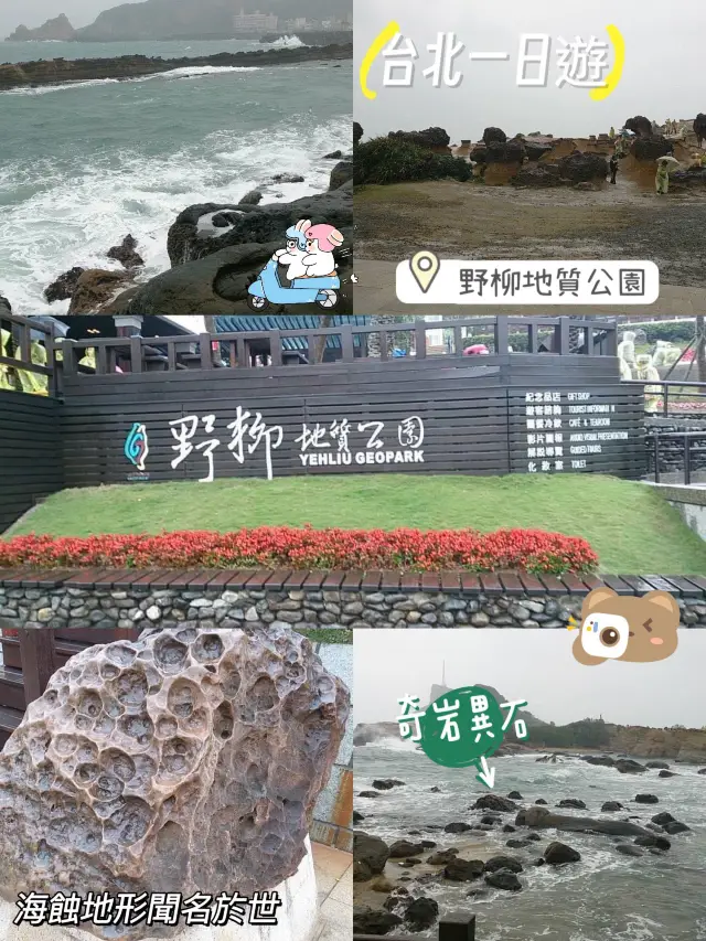 台北一日遊☺️野柳地質公園😗欣賞特有海蝕地形👍🏻