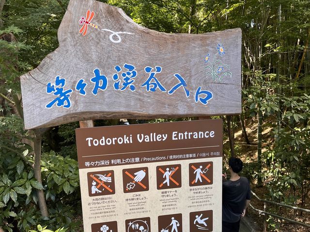 等々力渓谷@東京・世田谷