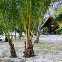 Best Resort 💞