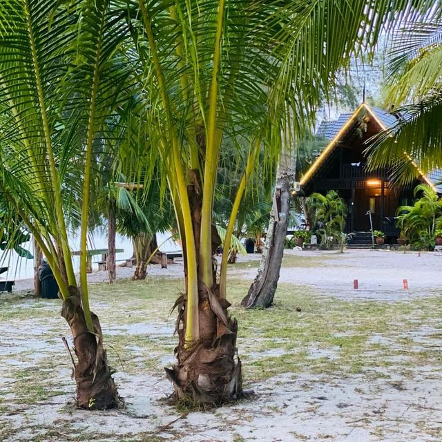Best Resort 💞