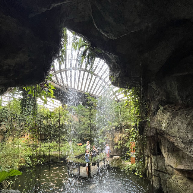 Butterfly Farm