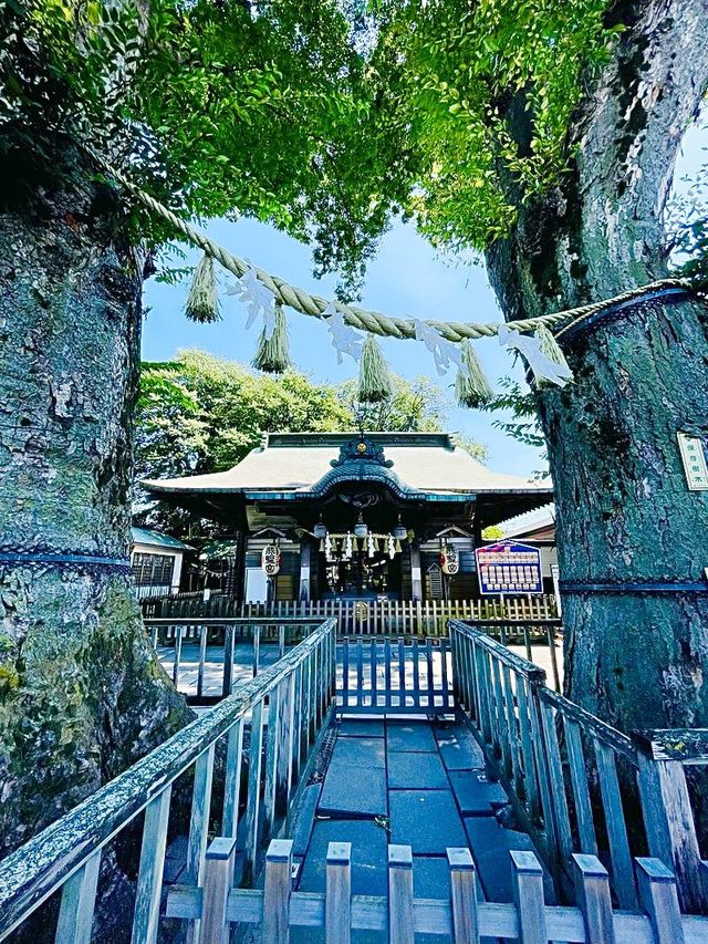 【東京都/熊野宮】一本榎伝説が受け継がれる神社