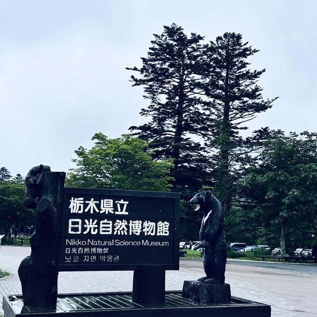 「日光市遊記：東照宮，中禪寺湖和湯波豆腐美食」