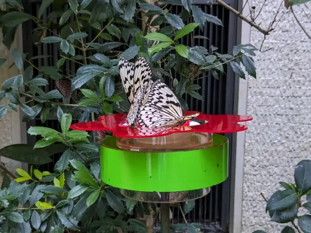 【大阪駅スグ】箕面ハイキングも楽しめる昆虫館