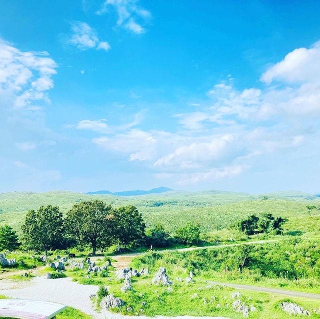 一年中17℃、夏は天然冷蔵庫！山口秋吉台&秋芳洞