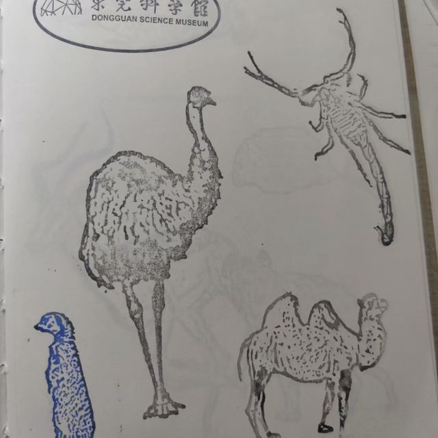  科技探索！🔬🏛️ 東莞科學館 