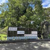 桃園復興鄉⛰️角板山公園！親近大自然，走吊橋，吸收芬多精！