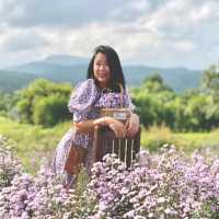 เจอ กู๊เนียร์ ฟอร์เร็ซท สวนดอกไม้ ที่ใหญ่ที่สุดในเชียงใหม่