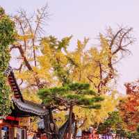 Great to see Jeonju Hanok Village in autumn