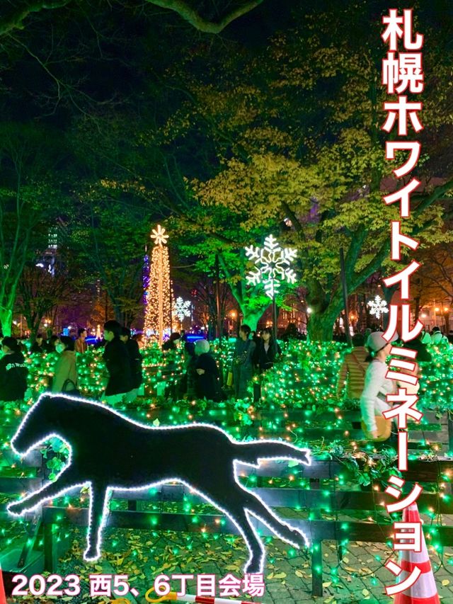北海道　札幌観光　大通公園ホワイトイルミネーション西５、６丁目会場が凄いぞ！