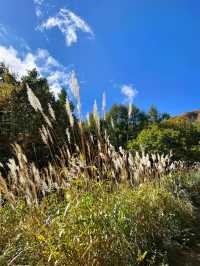 【福島】絶景すぎる日本百名山安達太良山