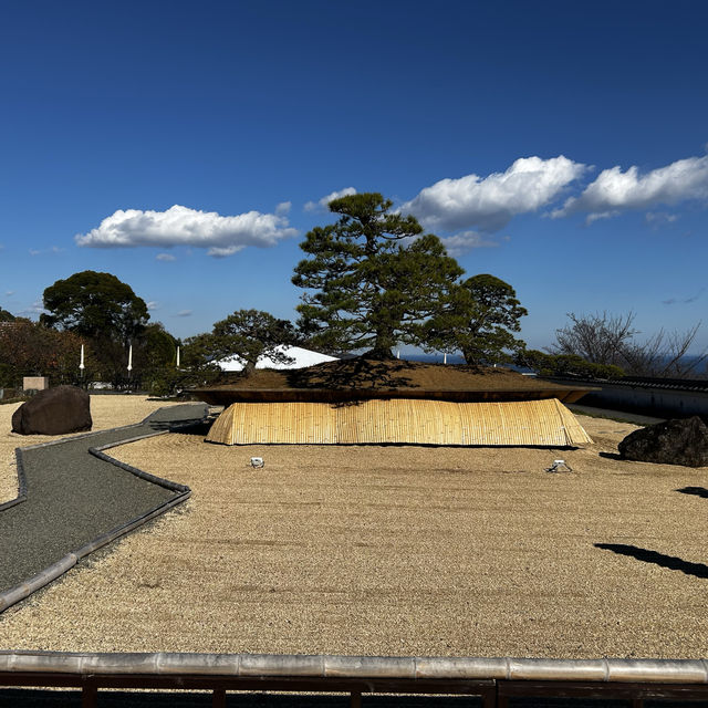 Bonsai garden inside ACAO forest