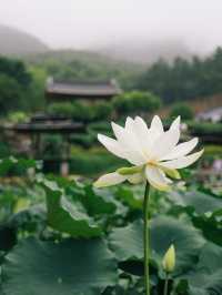 산청 수선사, 비오는 날 다녀오기 좋은 경남 여행지