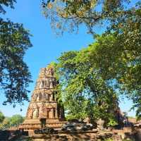 태국의 역사를 관광하다 , 아유타야 투어 : 왓마하탓 사원, 왓 프라씨산펫📷