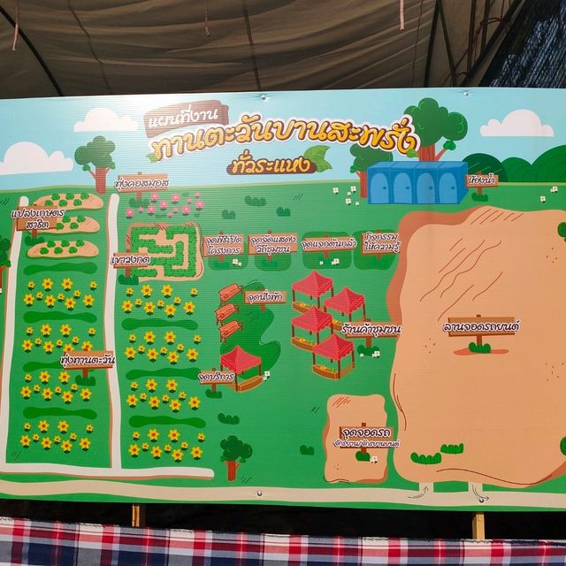 ทุ่งทานตะวันระแหง