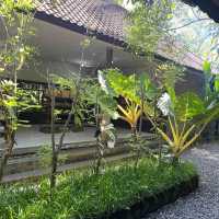 Luwak Coffee Plantation in Bali | Tampaksiring