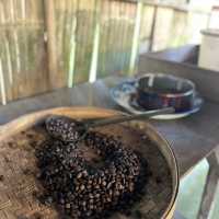 Luwak Coffee Plantation in Bali | Tampaksiring