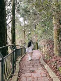箱根🇯🇵夢幻海上神社-平和の鳥居⛩️