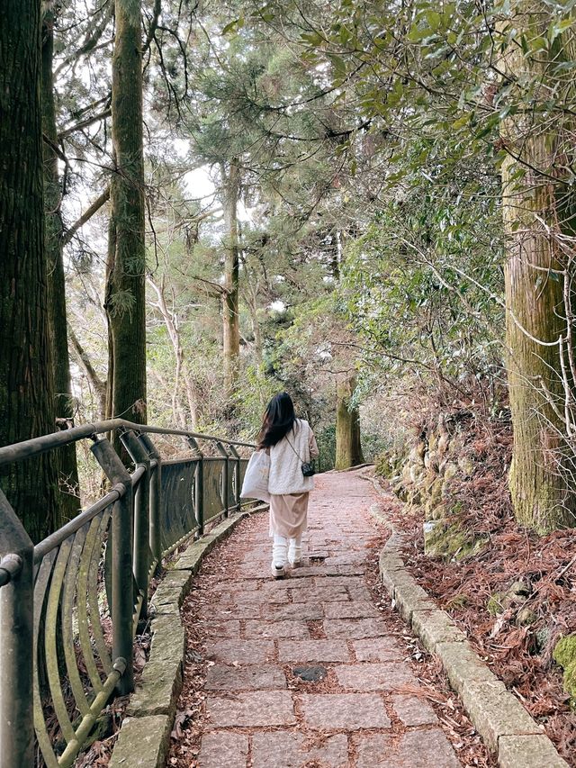 箱根🇯🇵夢幻海上神社-平和の鳥居⛩️
