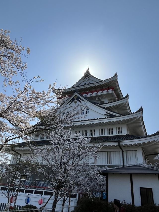 熱海でお花見するならここ！熱海の絶景を一望できる熱海城！