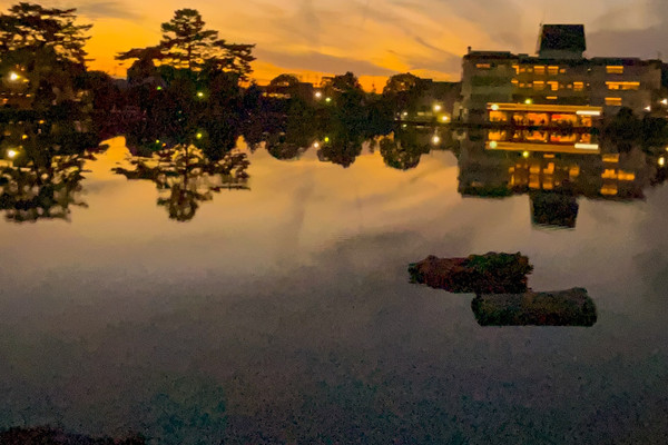 奈良の猿沢池の夕日 | Trip.com 奈良