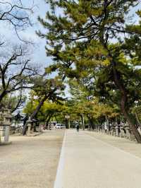 【兵庫県】「福男選び」のスタート地点、西宮神社の表大門