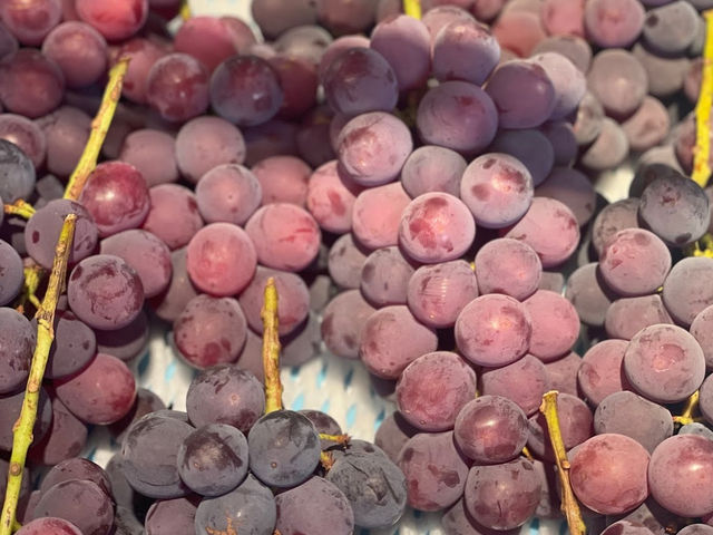 Grapes farm