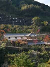 วัดนันโซอิน Fukuoka ญี่ปุ่น พระนอนองค์ใหญ่ที่สุด