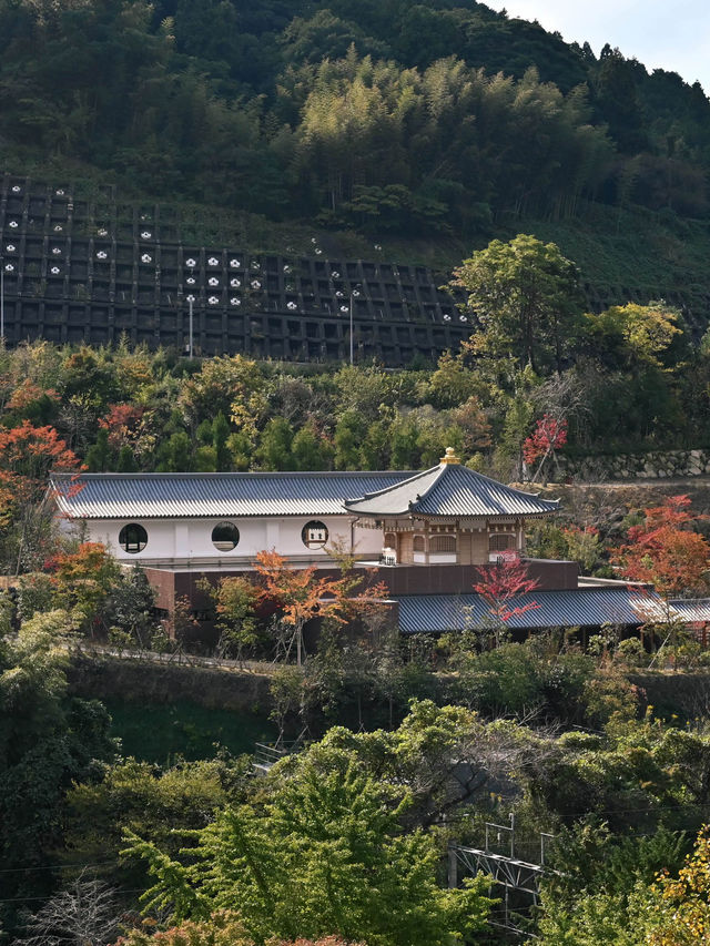 วัดนันโซอิน Fukuoka ญี่ปุ่น พระนอนองค์ใหญ่ที่สุด
