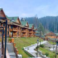 Gulmarg Wildlife Sanctuary