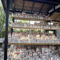 🇯🇵東京最新打卡點：豪德寺⛩️ 打卡招財貓大爆發🐱🤑