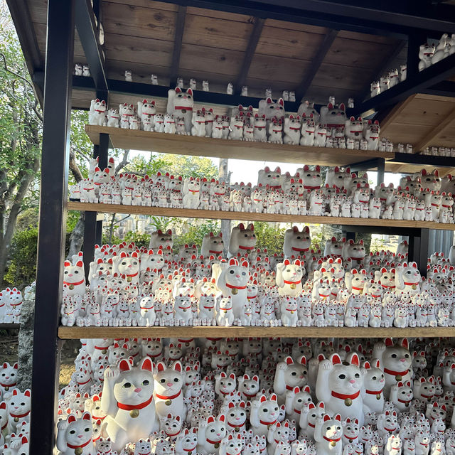 🇯🇵東京最新打卡點：豪德寺⛩️ 打卡招財貓大爆發🐱🤑