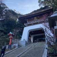 “Enoshima” วันเดียวเที่ยวไม่พอ