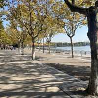 上海世紀公園