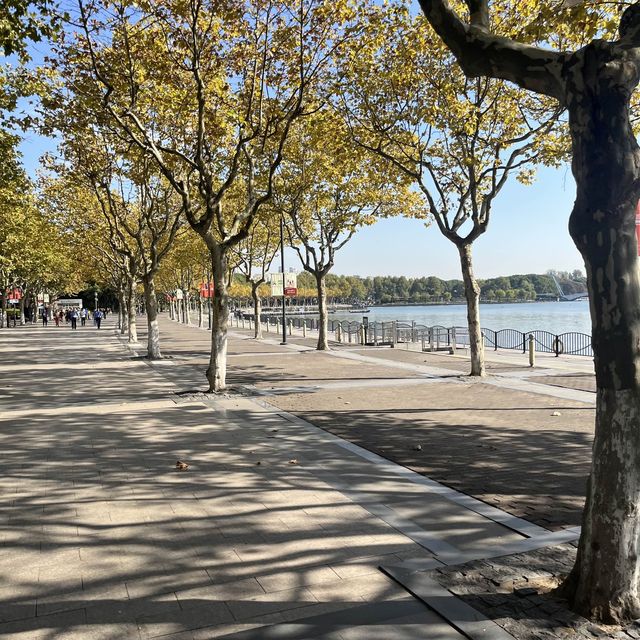 上海世紀公園