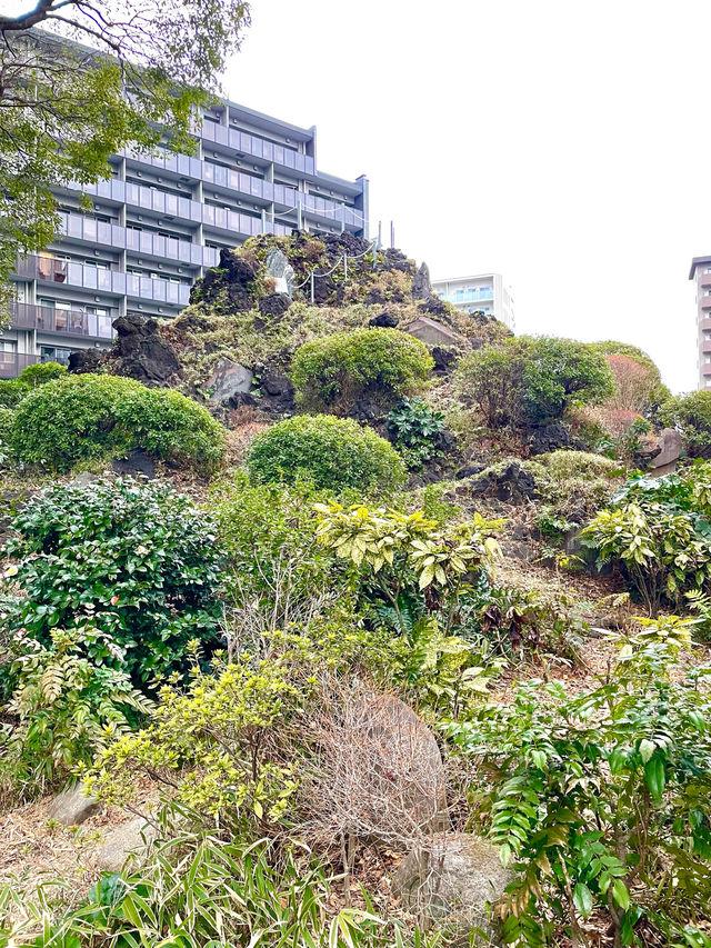 【成子天神社/東京都】現代の環境の中で共存している神社
