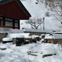 눈꽃 휘날리는 사찰여행, 월정사❄️