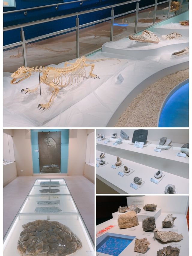 台灣自然科學博物館親子打卡點👍🏻旅遊途中長見識👀