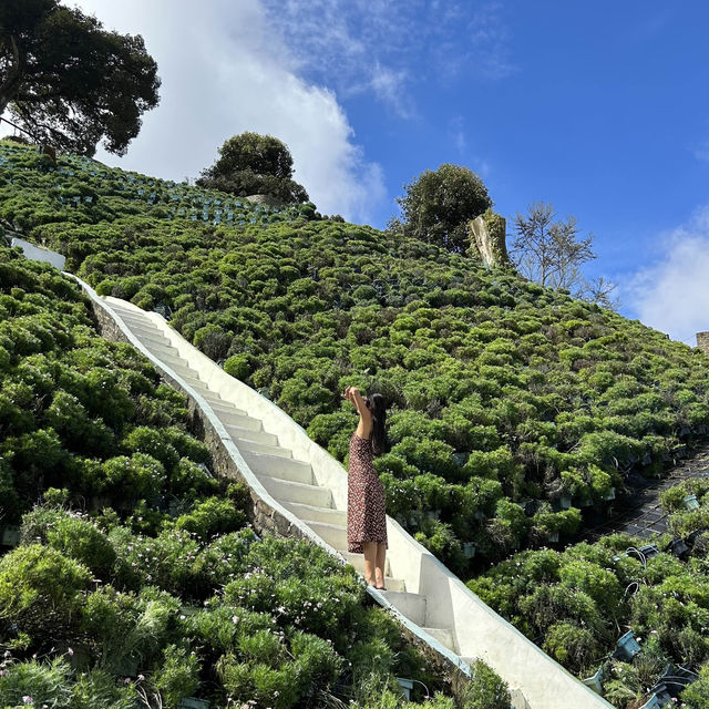 Stunning Flora Park