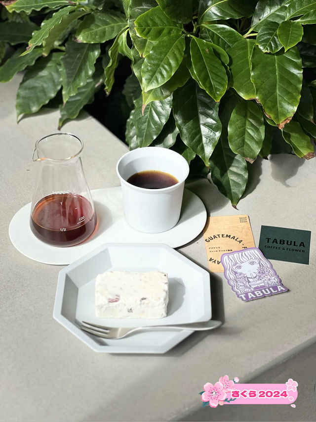 【福岡カフェ】花屋さんがコーヒーと空間にこだわったカフェ