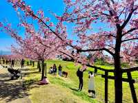 Umami-kyuryo Park 