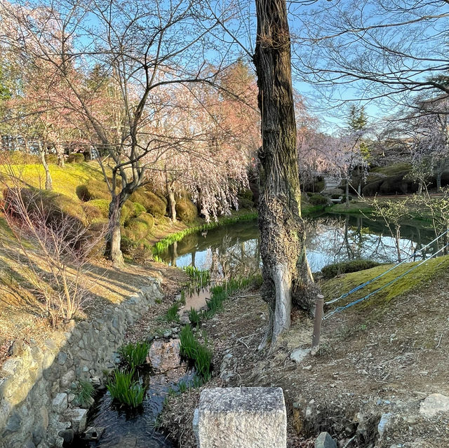 慶州🌸普門亭など散策