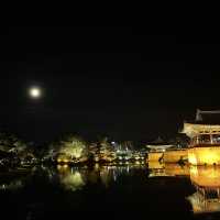 Donggung Palace & Wolji Pond Gyeongju