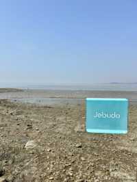아름다운 봄 바다를 보며 바람을 쐬고 싶을때 🌊 서울근교 섬여행 추천