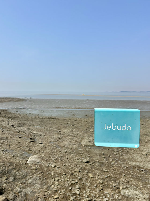 아름다운 봄 바다를 보며 바람을 쐬고 싶을때 🌊 서울근교 섬여행 추천