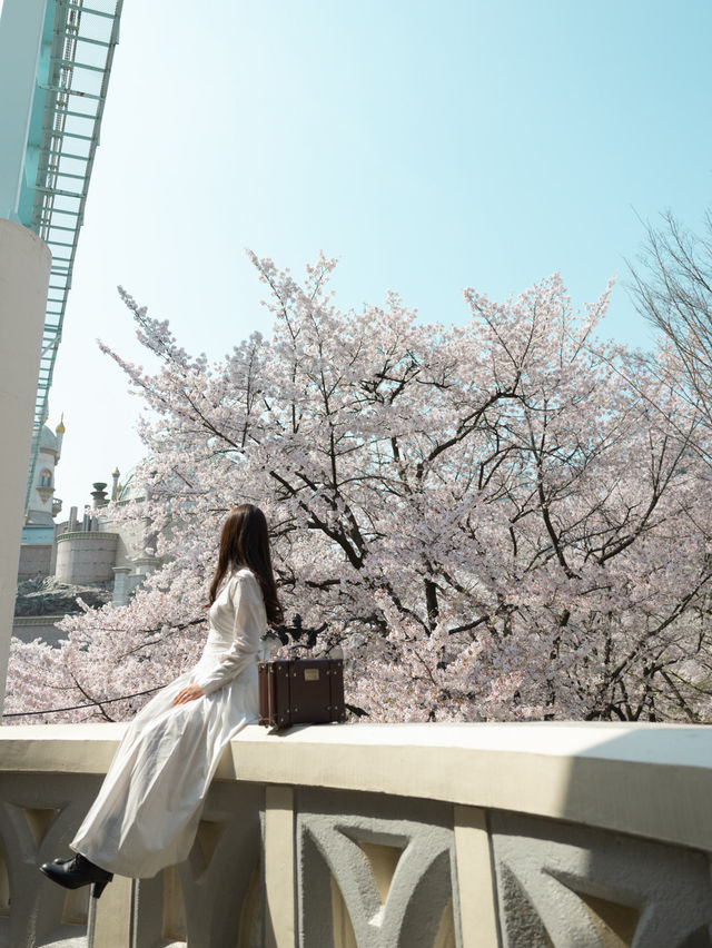 【ソウル】お城と桜のツーショットが撮れる可愛すぎるスポット♡