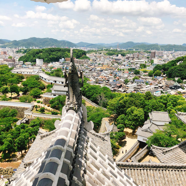 日本姬路市 姬路城（白鷺城）