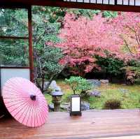 【京都】東福寺近くの穴場映えスポット⭐勝林寺⭐