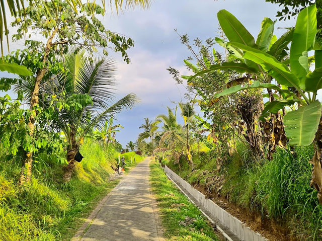 Jatiluwih Rice Terraces