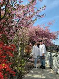 4월 전남에서 가장 핫한 봄여행코스🌸